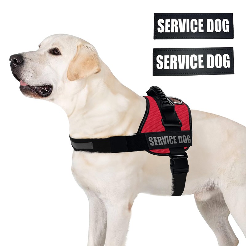 ALBCORP Service Dog Vest Harness – Reflective Service Animal Vest