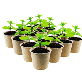 Woohome 202 PCS Peat Pots and Peat Pellet Fiber Soil Plant with Plant Label, Round Peat Pots and 30MM Peat Soil Pellets, Plastic Plant Tags and Loose Soil Tool for Home Plant Starters