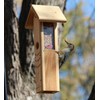 Kettle Moraine Cedar Woodpecker Feeder