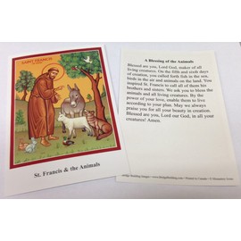 Vermont Christmas Company St. Francis Blessing of The Animals Prayers Cards Set of 100