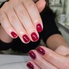 DND 701 WANNA WINE Gel and Lacquer Duo nail care