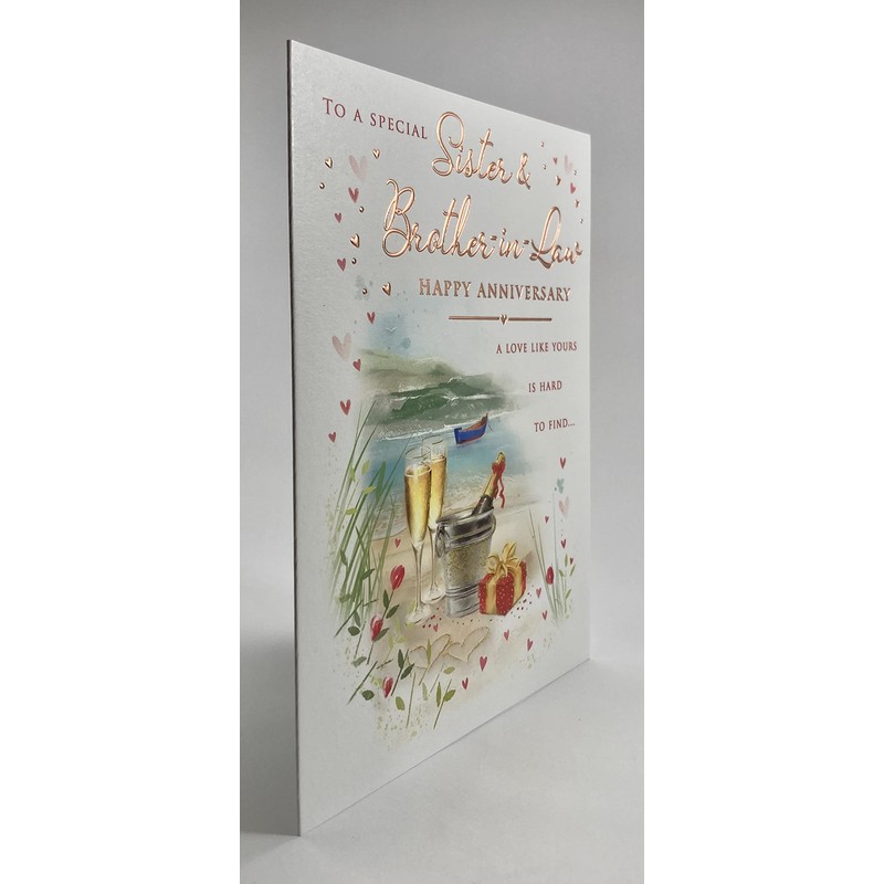 To A Special Sister and Brother in law Anniversary Card