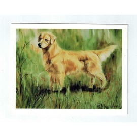 Ruth Maystead Golden Retriever in Grass Notecard Set - 12 Notecards