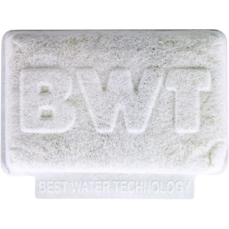 BWT Bestsave S in Tank Water Filter Tablet