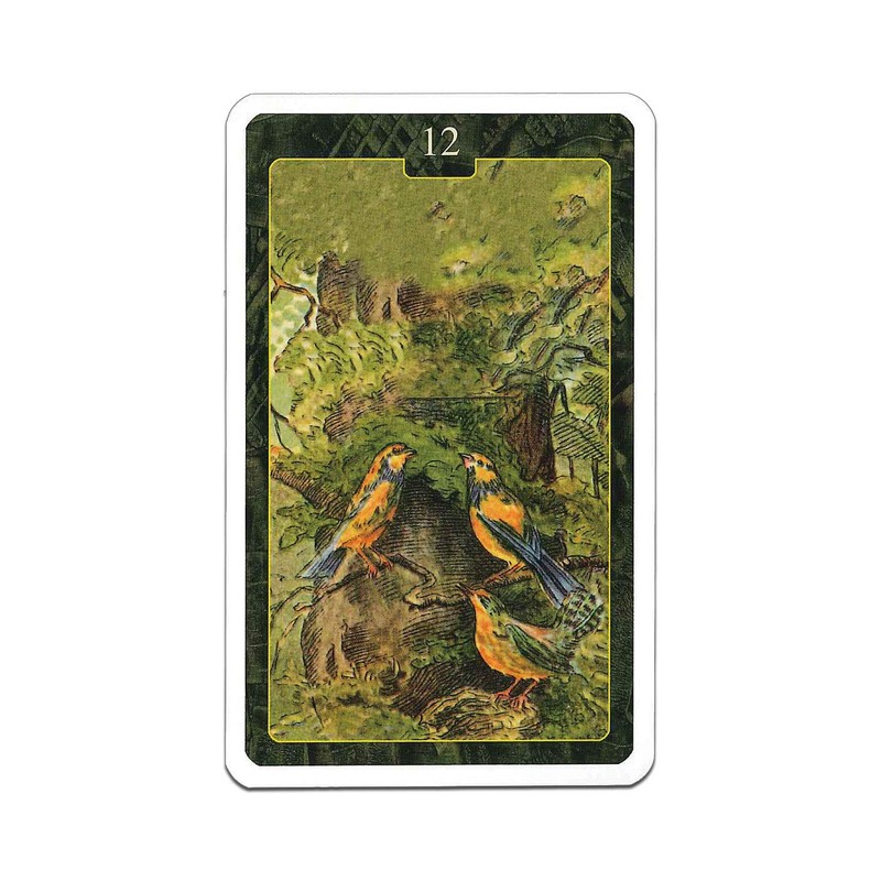 Renolman Cards, Divination Telling, 36 Cards, Oracle Cards, Japanese Instruction