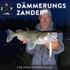 Zanderfang - Bass Wobbler Zander - Bass Bait Deep Running