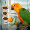 5PCS Parrot Cuttlebone Chew Toy Bite Resistant Corn Leaf Nuts