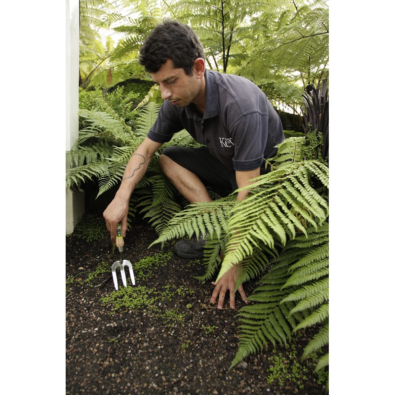 Spear & Jackson Kew Gardens 3060KEW Stainless Steel Weed Fork,