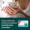 H&S Peppermint Leaves: Medicinal Tea No. 25 Peppermint Tea for