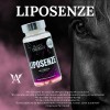 Kit Quemador Liposenze Lipoenzimas Suplemento Cla Cápsulas