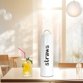 SUMNACON Galvanized Iron Straw Storage Container Dispenser, Rustic Farmhouse Straw Holder Kitchen Utensil Organizer Canister Drinking Straw Storage Canister White Storage Box for Long Straws