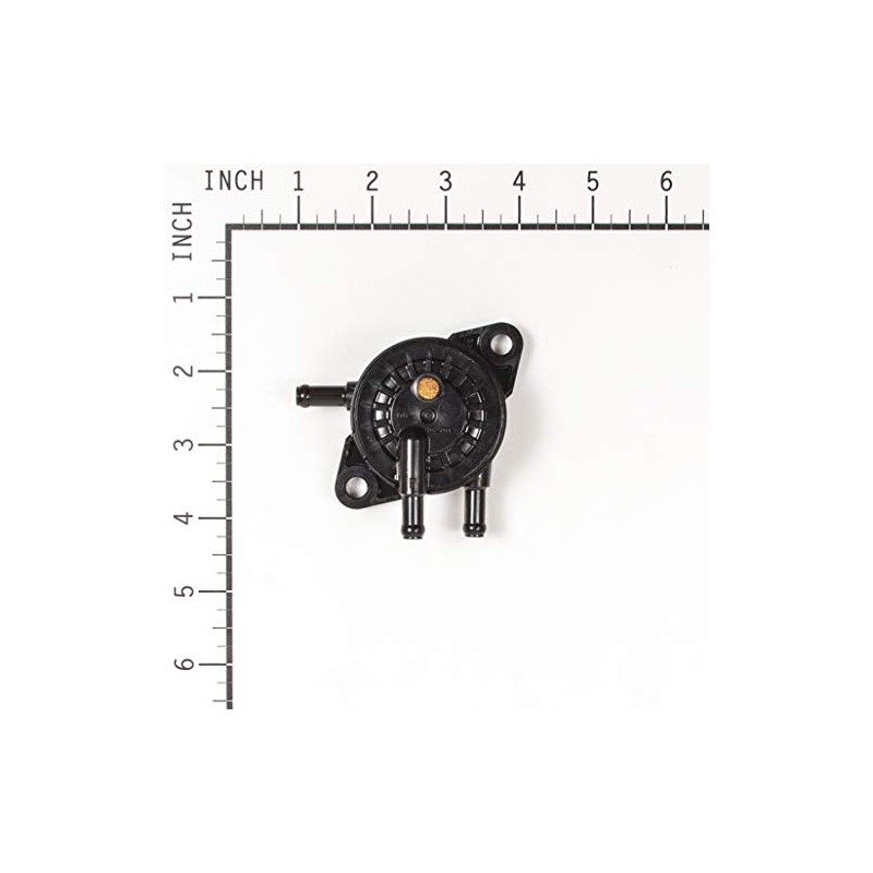 Briggs & Stratton Fuel Pump