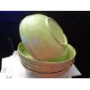 TOMMY BAHAMA 100% MELAMINE Beautiful LIME GREEN BOWLS SET OF