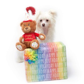 Pet London Happy Birthday Bear Dog Toy - Present to Celebrate Dog's Bday or Adoption - Soft Plush Teddy Gift for Dog or Pup with Embroidered Birthday Message, Squeaky, Stylish Great Animal Gift