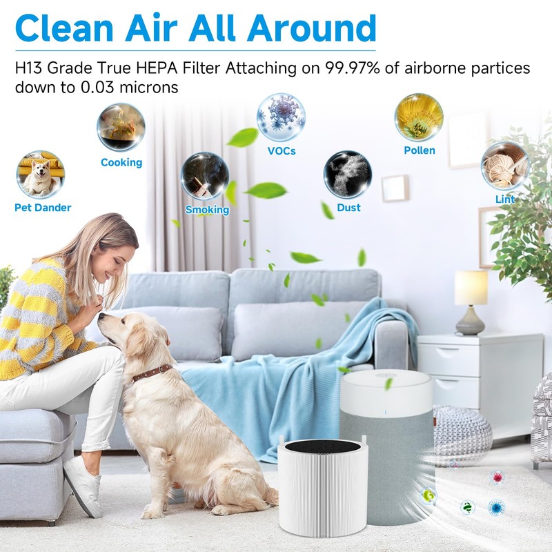2 Pack Blue Pure 411i Max Replacement Filter Compatible with