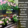 LaLaGreen Wall Planter - 6 Pack, 4 Inch Square Metal