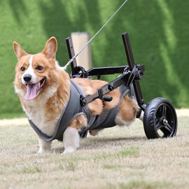 LIU&LIU Adjustable 2 Wheels Pet Wheelchair for Back Legs,Large and Medium Dogs,Hind Limb Rehabilitation,Older,Disabled,Grey,L