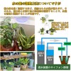 Watering Power Supply Cap for Plants, Set of 6, Ceramic,