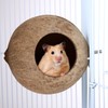 Balacoo Coconut Bird Nest for Cage: Natural Coconut Shell Parakeet