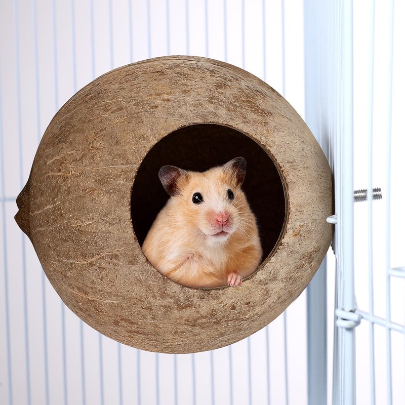 Balacoo Coconut Bird Nest for Cage: Natural Coconut Shell Parakeet