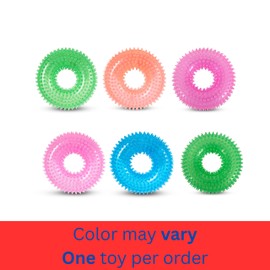 Bow Wow TPR Spiked Squeaky Dog Toy – Dental Ring or Bone – Vanilla Scented, Colorful, and Fun – Gum Massaging Spikes for Everyday Play