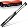A-Premium Rear Tailgate Lift Supports Shock Struts Compatible with Nissan