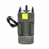 110V AC Gear Motor Reversible Motor + Variable Speed Controller