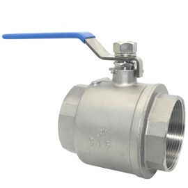 DAN SPEED 3" NPT Female 316 Stainless Steel Full Port Ball Valve Vinyl Handle WOG1000 (3 inch)