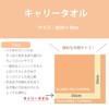 Marushin 3005061000 Carry Towel Hand Towel Sanrio Cinnamoroll, Cute Candy