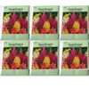 (6 Pack) 100 mg/Package Snapdragon Heirloom Variety Seeds