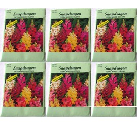 (6 Pack) 100 mg/Package Snapdragon Heirloom Variety Seeds