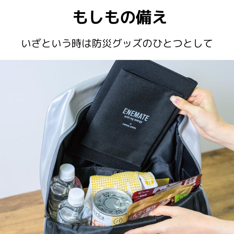 APIX INTL AEC-10W Solar Panel, Solar Charger, Foldable, Compact, Solar