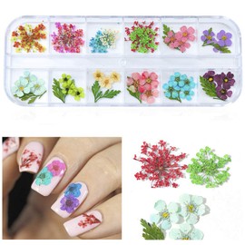 24 Pieces Nail Dry Flowers And Glitter Set,12Colors Nail Dried Flowers Stickers+12Colors Holographic Butterfly Nail Glitter Sequins for Nail Art Design Crafting Decoration with Tweezers