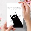 Bablira Funny Cat Birthday Card for Him Her, Naughty Birthday
