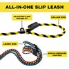 Slip Lead Dog Leash Made in The USA | All