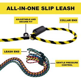 Slip Lead Dog Leash Made in The USA | All in One No Pull Dog Leash and Collar with Adjustable Loop | 3/8” Thick for Small Dogs 6 FT (Yellow)