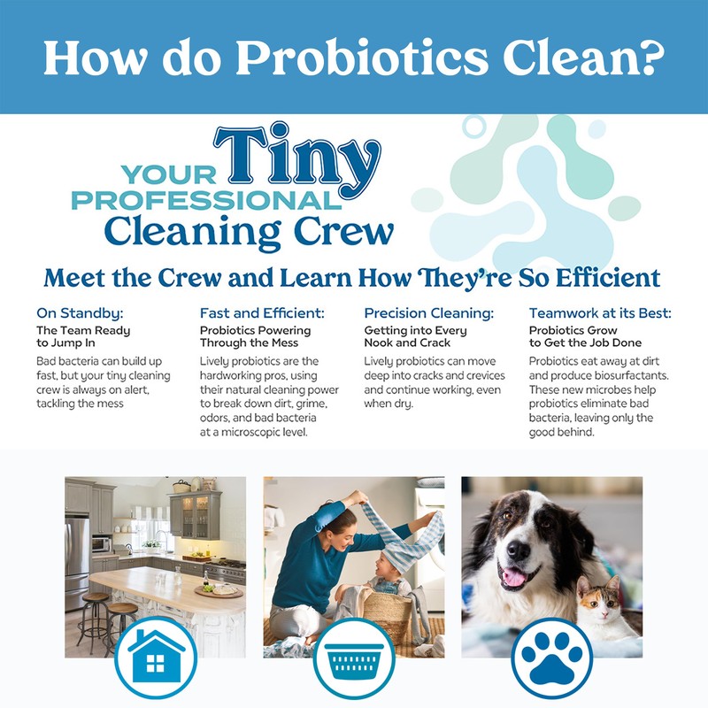 Lively Home Cleaning & Stain Removal Bundle – Multi-Purpose Cleaner