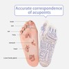 SOFTNLUX Foot Reflexology Sock Set with Massage Tool, Acupressure Reflexology