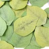 100 Sheets Sticky Notes, Beautiful Green Leaf-Shaped Self Stick Notes,