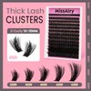 Lash Clusters Kit with Spikes Wispy Lash Clusters False Eyelash