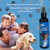 Colonia Bella Pet Unisex 125 Ml Fragancia Fresca Fragancia Aroma