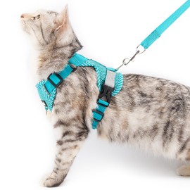 pangdi Cat Harness and Leash Escape Proof Extra Large Kitten Harness Maine Coon Cat Vest for Walking Travel, Turquoise, XL