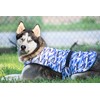 LUCOLOVE LUCOLOVE Dog Cooling Vest - 2-Layer Lightweight Performance -