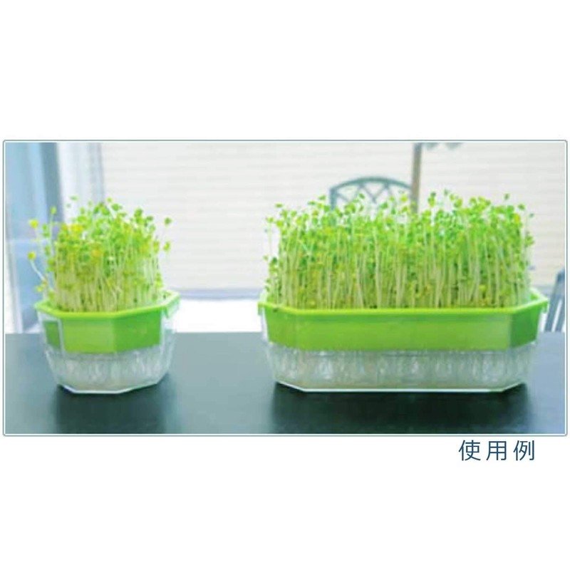 Daiwa Plastic Kitchen Farm 250 1.0L Green