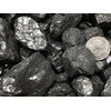 Coal Anthracite Nut Coal 2 Pounds