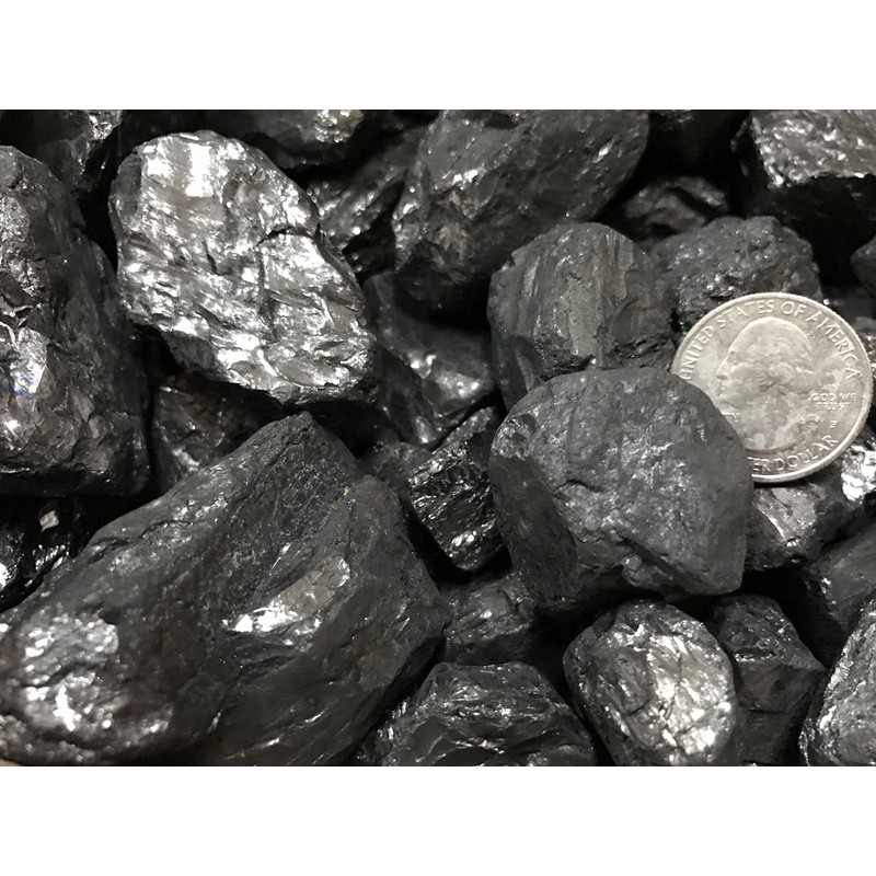 Coal Anthracite Nut Coal 2 Pounds