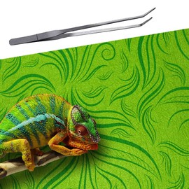 REP BUDDY 2 Pack Reptile Carpet Rainforest Tropical Mat & Reversible Substrate, Terrarium Liner Bedding, for Lizard,Chameleon,Gecko,Snake,Ceratophrys with Tweezers Feeding Tong (20 Gallon(30x12in))