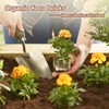 Riare 8pcs Organic Coco Coir Bricks Soil Blocks- 100% Natural