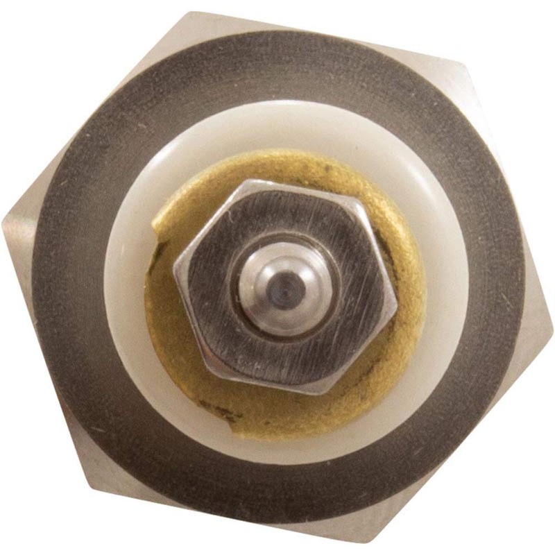 Raypak Parts 007228F Low Water Cut Off Remote Sensor