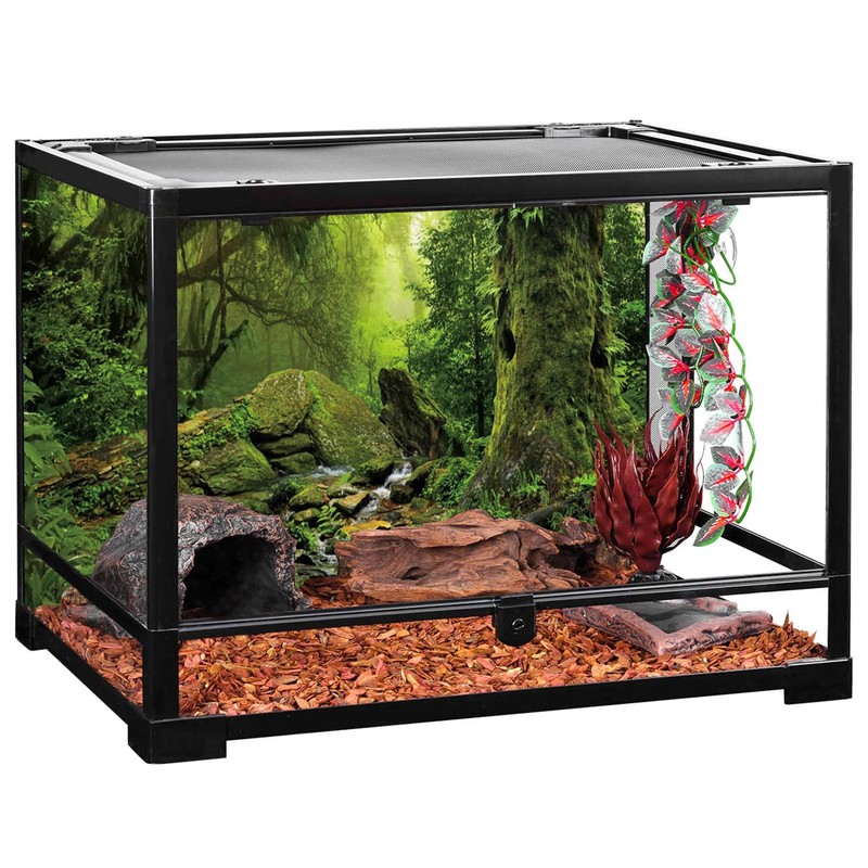 AWERT Tropical Forest Terrarium Background Stream Green Huge Tree Reptile